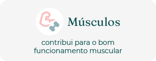 M&uacute;sculos